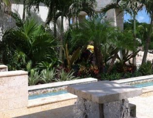 Court yard planting