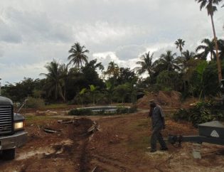 Site Clearing and transplants