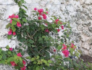 Wall construction – Richard Schaden